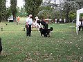 img 140